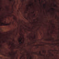 Elm, Carpathian Burl