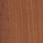 Eucalyptus - Quartered