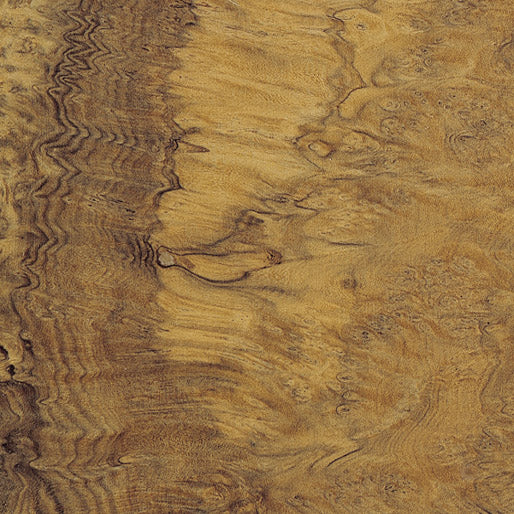 Laurel Burl