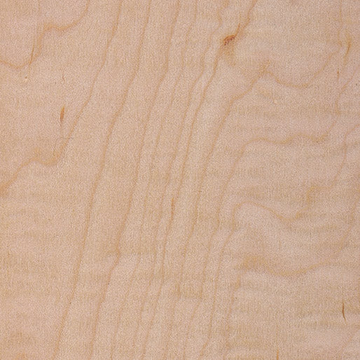 Maple, Curly