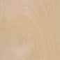 Poplar, Chilean