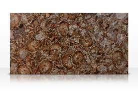 Petrified Wood| Precious Gem Surfaces - 5